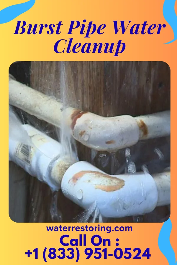 Burst Pipe Water Cleanup in West Terre Haute, IN