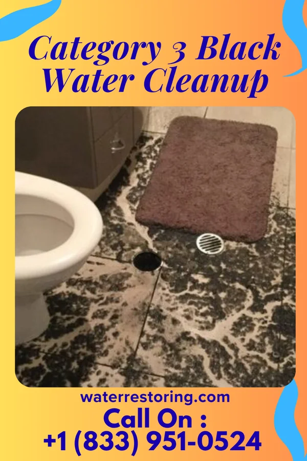 Category 3 Black Water Cleanup in West Terre Haute, IN