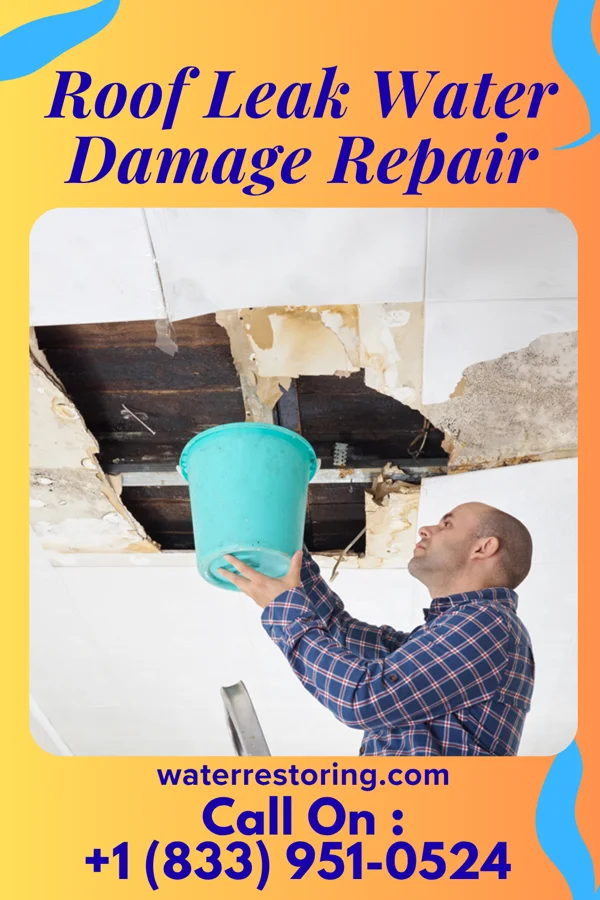 Roof Leak Water Damage Repair in West Terre Haute, IN