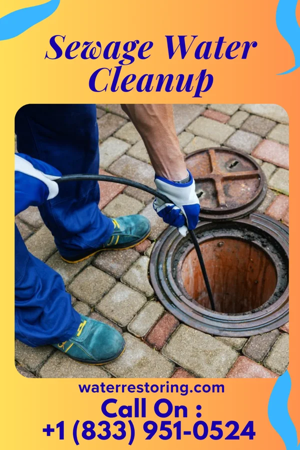 Sewage Water Cleanup in West Terre Haute, IN