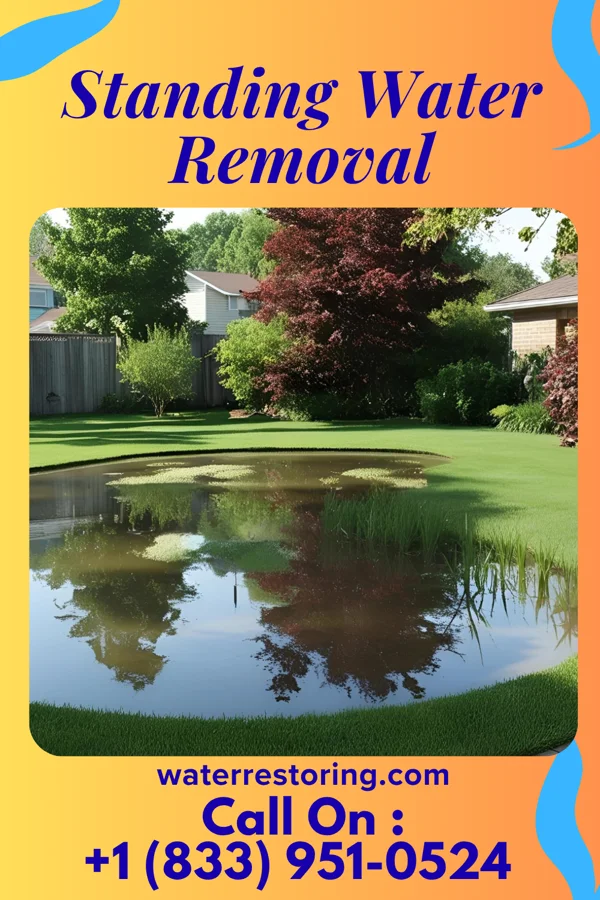 Standing Water Removal in West Terre Haute, IN